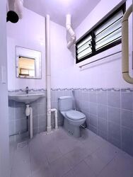 Blk 313 Shunfu Gardens (Bishan), HDB 3 Rooms #529747781
